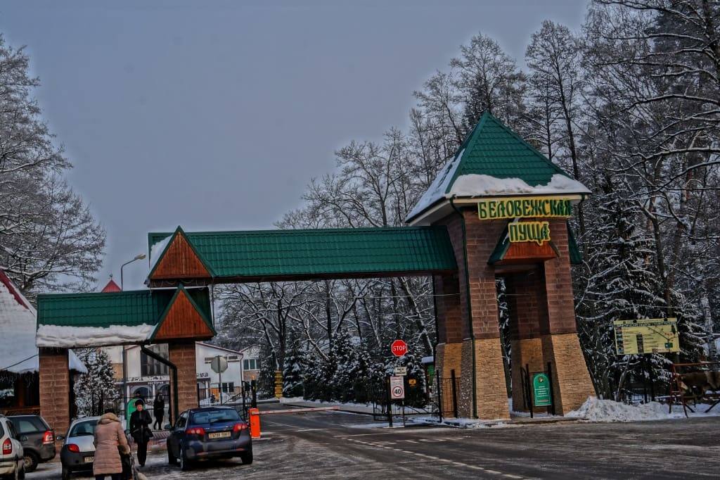 ворота Беловежской пущи