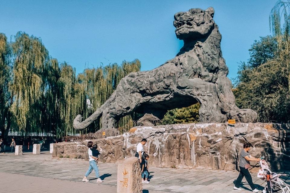 beijing-zoo