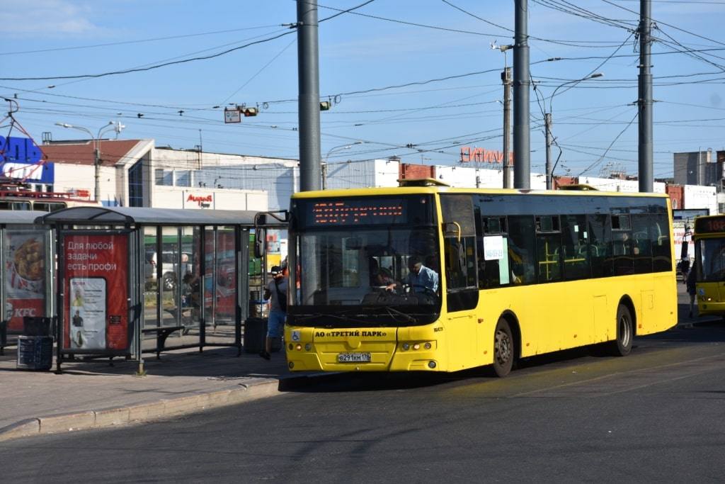 avtobus-101