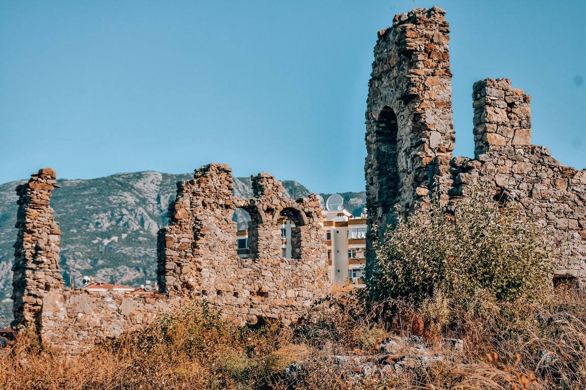 naula-mahmutlar