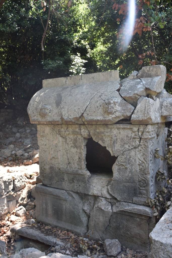 sarkofag-v-dzhungljah-olimpos