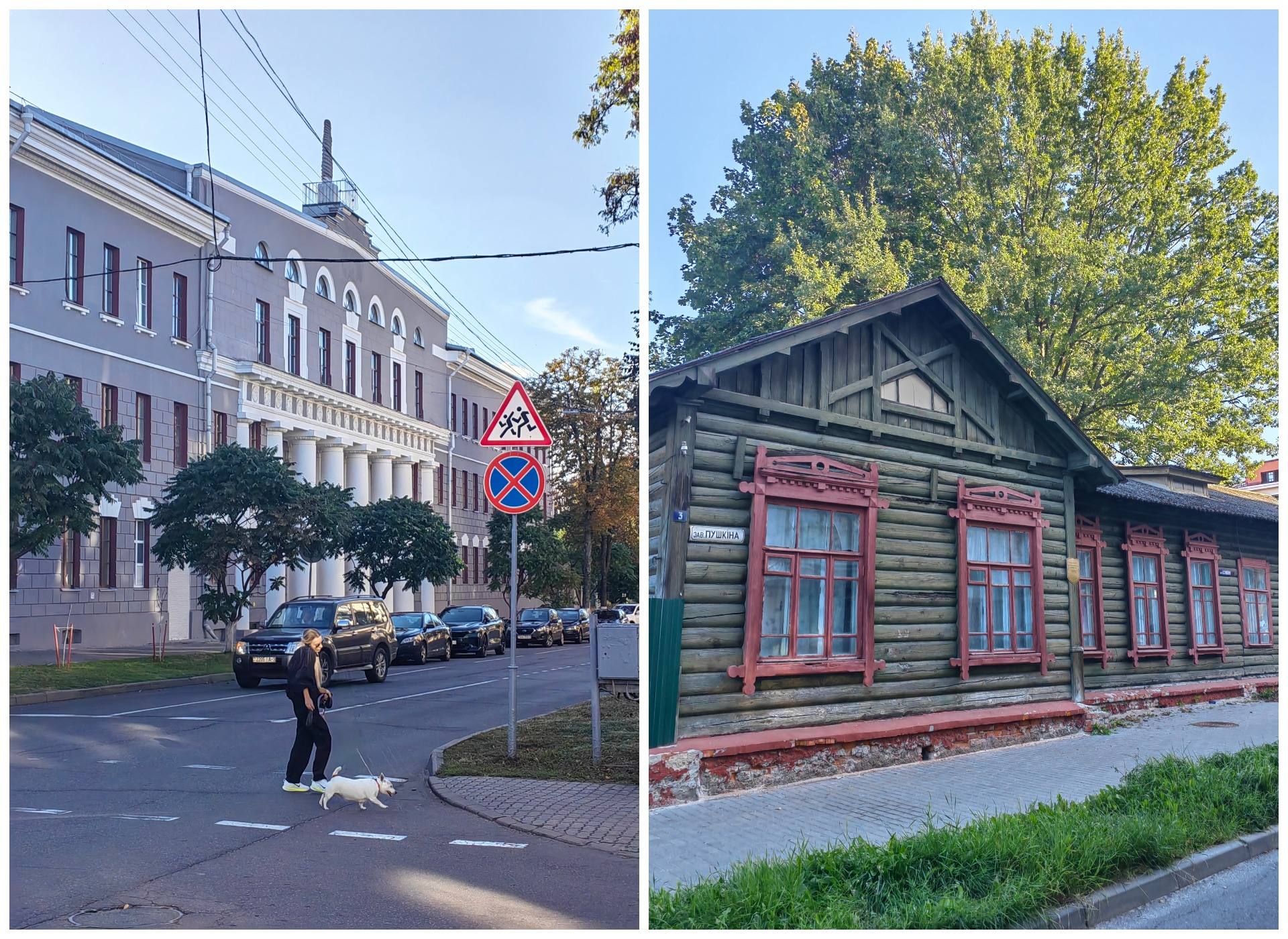 ulica-i-pereulok-pushkina-v-gomele