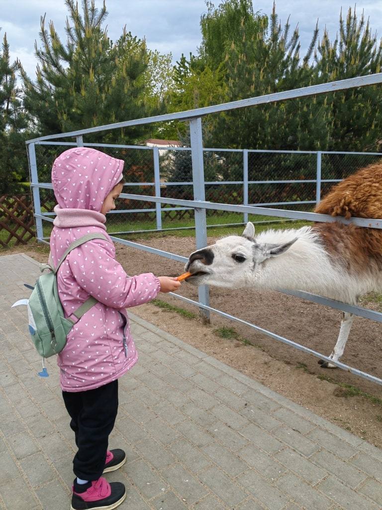 zoopark-minsk-kuda-shodit-s-rebenkom-v-minske