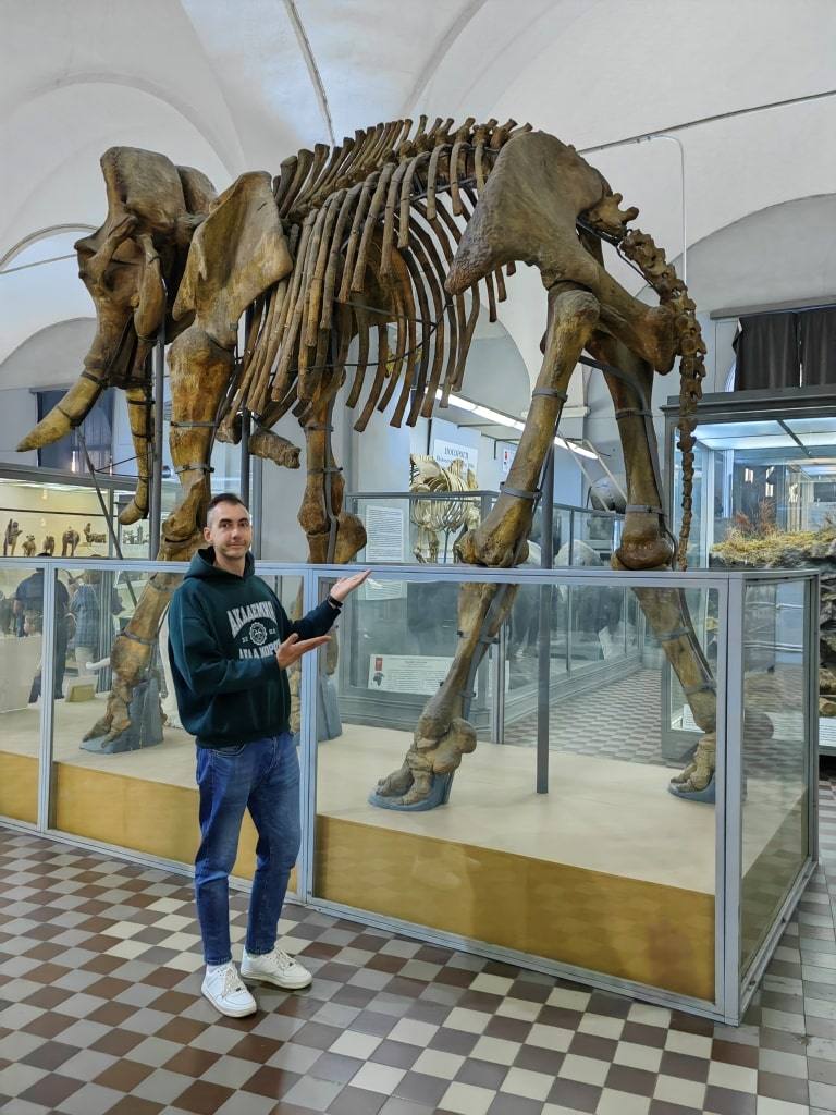 zoologicheskiy-muzey-skelet-mamonta