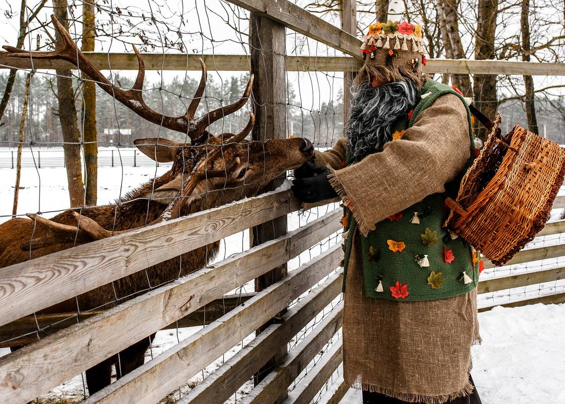 lesovik-zima-v-belarusi