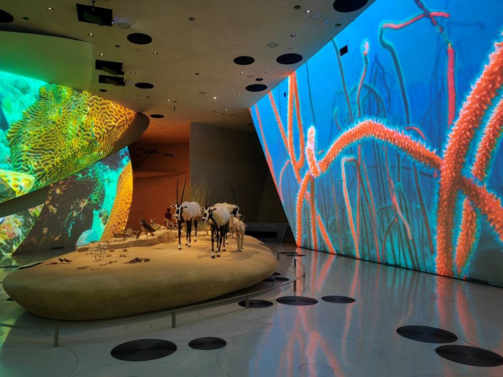 chto-posmotret-v-dohe