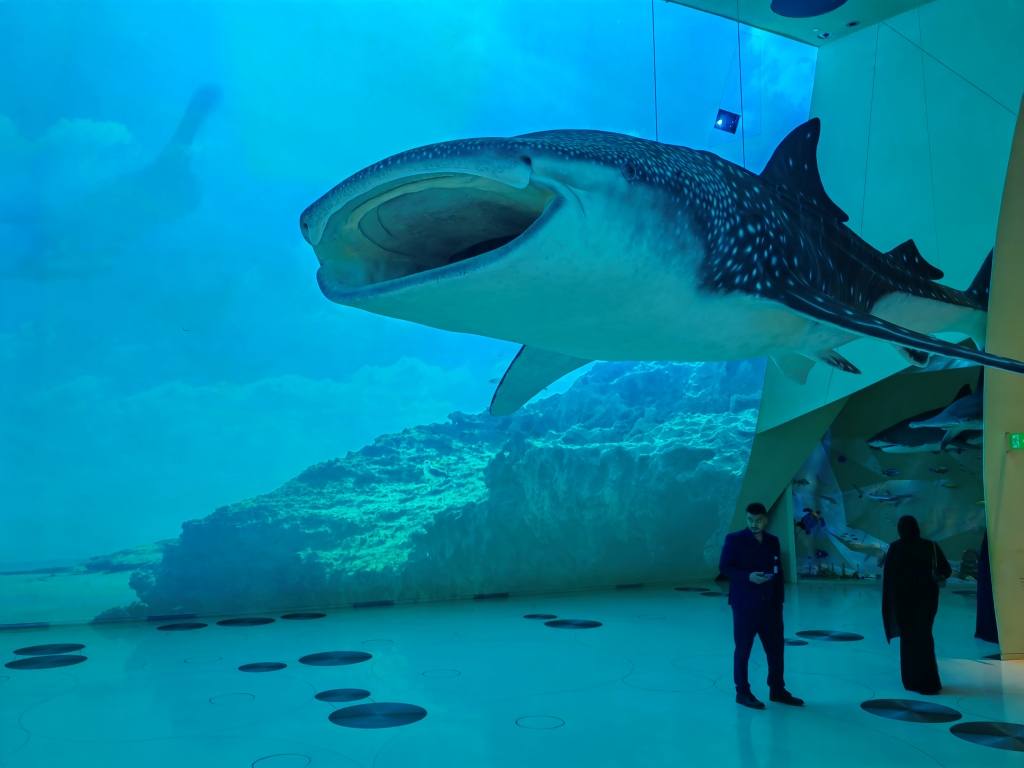 akula-nacionalnyj-muzey-doha