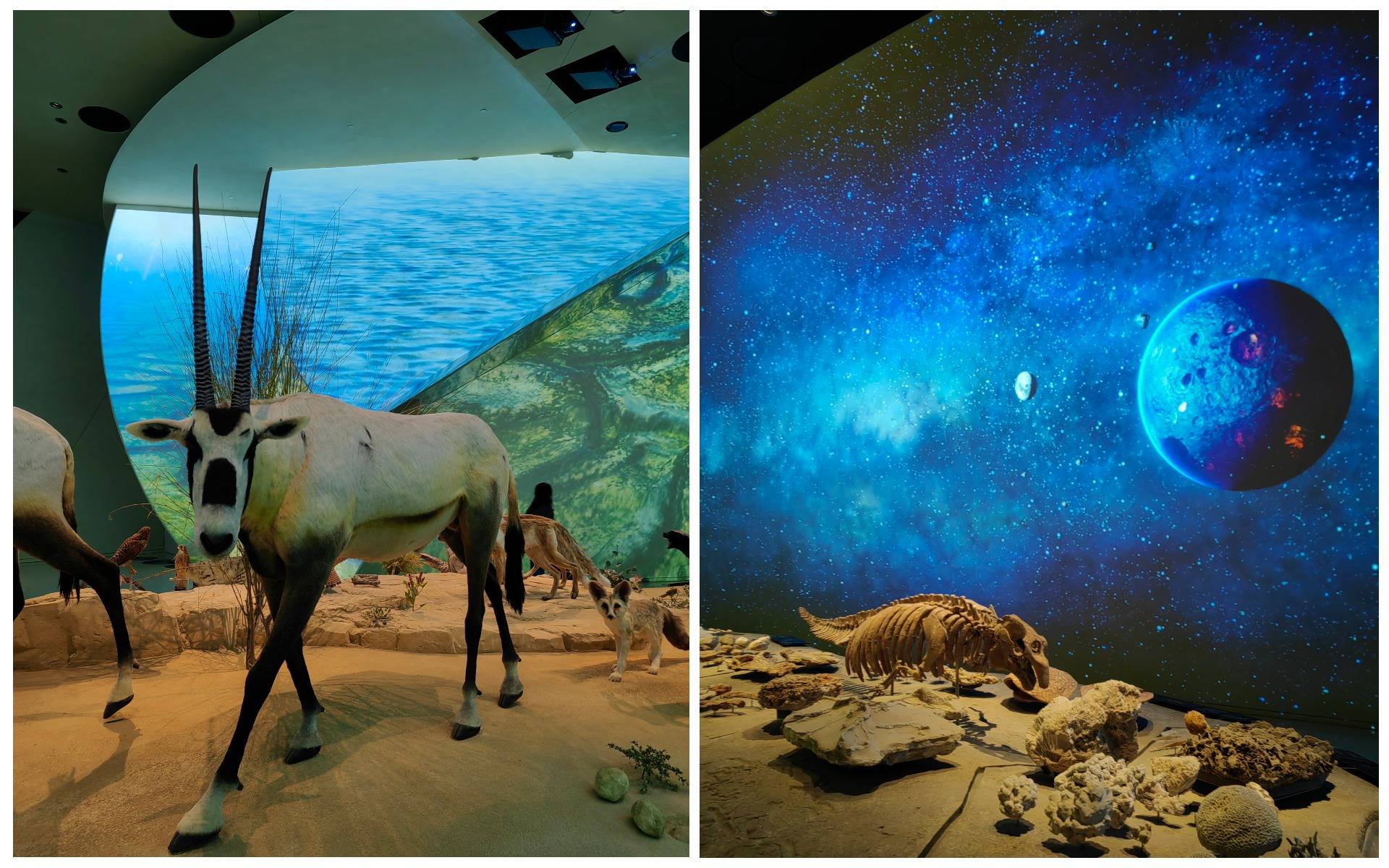 nacionalnyj-muzey-katara