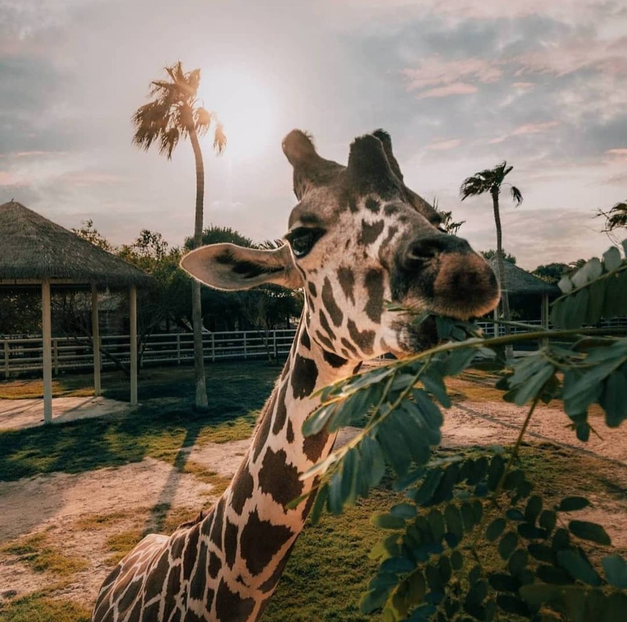 kuda-poyti-s-rebenkom-v-katare-besplatno