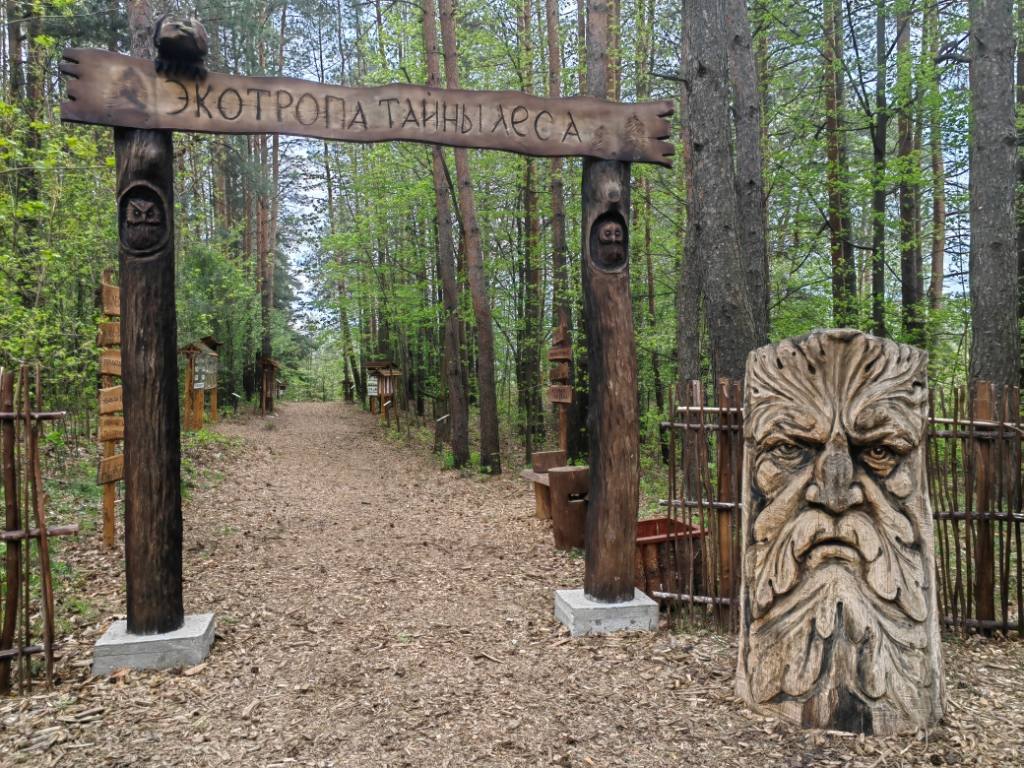 ekotropa-tayny-lesa-zaslavl