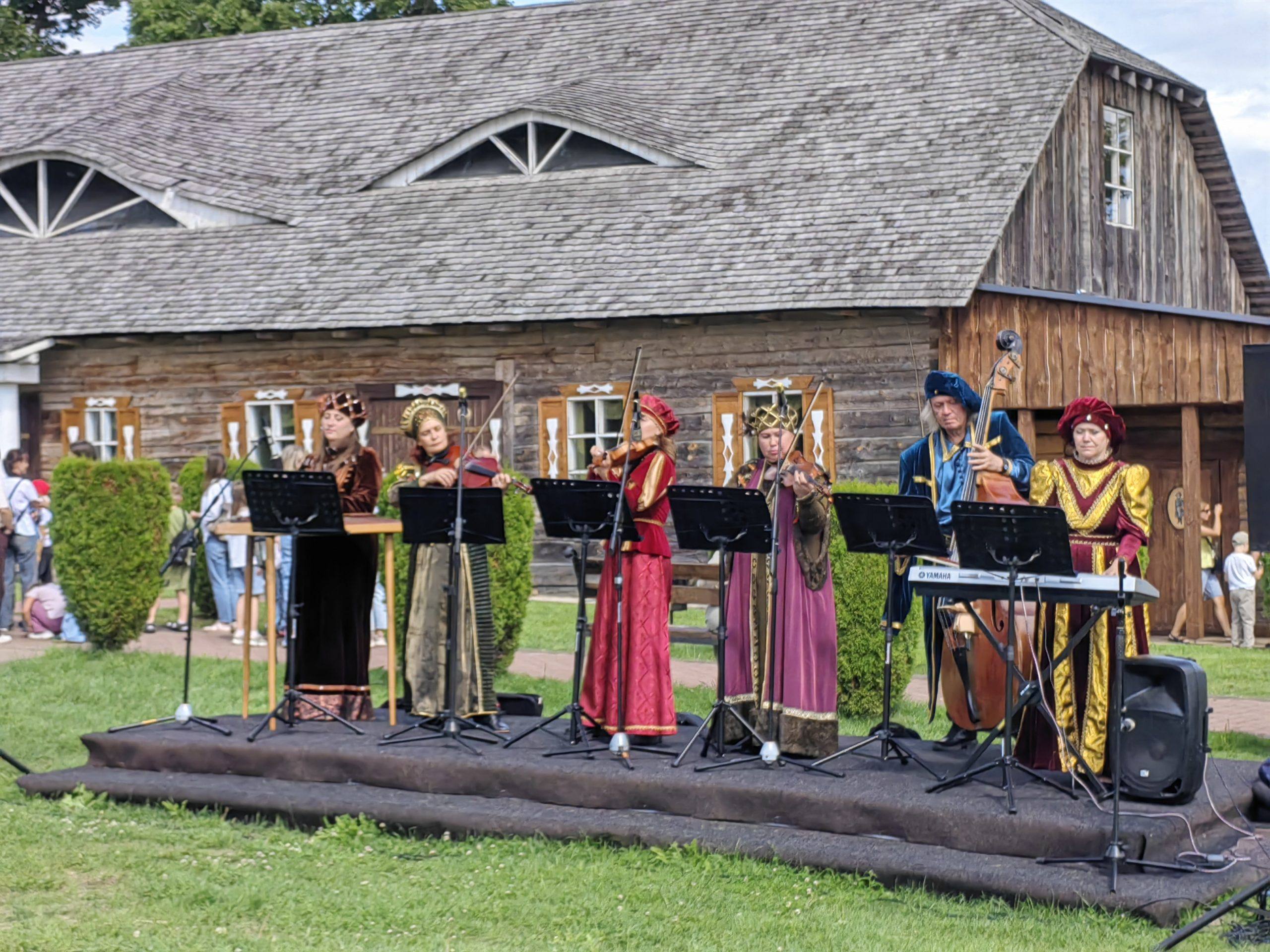 sula-muzykanty-nkoncert